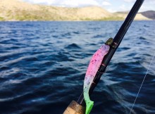 Paddle Tail Fishing Lure