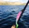 Paddle Tail Fishing Lure