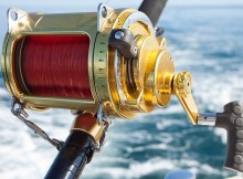Fishing Reel, Fishing Line