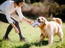 woman-playing-with-dog