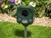 ultrasonic animal deterrent