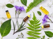 organic-essential-oils
