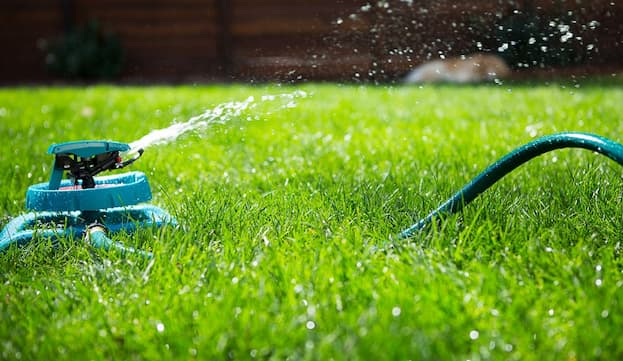 Water Your Lawn First Thing in the Morning