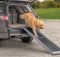 dog car ramps