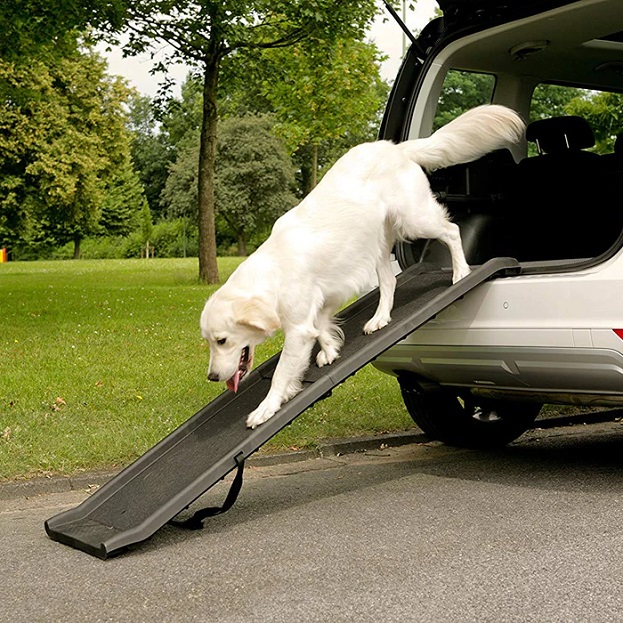 dog car ramp 