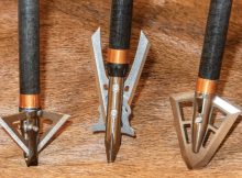 multibladed broadheads