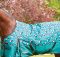 Rain Sheets for Horse