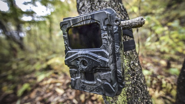 Basil In Game Camera Your Secret Weapon in the Woods: A Hunter’s Guide to Game Cameras ...