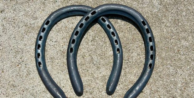 horseshoes