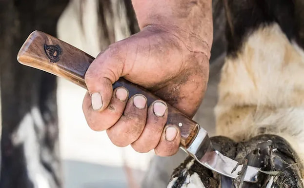 farrier-knife