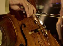 Double Bass Case