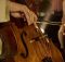 Double Bass Case