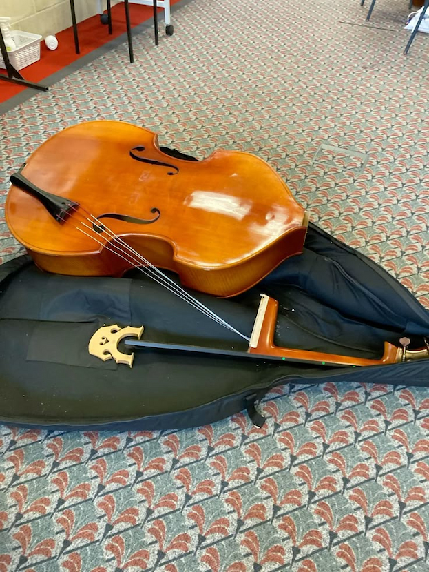 Double Bass Case